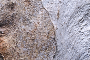 Wood Background  Texture and Abstract /OLYMPUS DIGITAL CAMERA