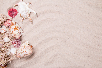Fototapeta na wymiar Shells on sandy beach with tropical beach background 
