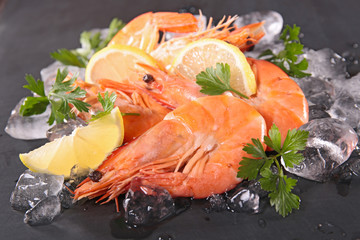 shrimp with ice cube