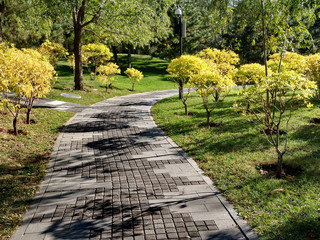 the stone road in the garden