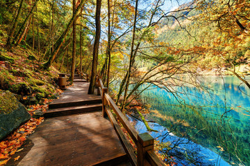 Wooden boardwalk leading along azure lake among fall woods