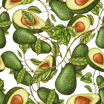 Seamless pattern of hand drawn avocados