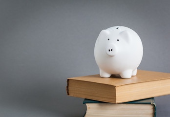 Piggy bank on top of books