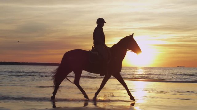 Silhouette of Rider on Horse at Beach in Sunset Light. Shot on RED Cinema Camera.