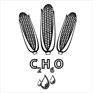 Corn ethanol biofuel, alternative and renewable energy supply source. Line icon of corn cobs, ethanol formula and liquid drops. Vector Illustration