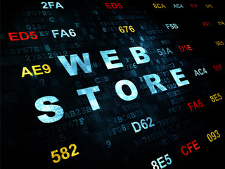 Fototapeta premium Web design concept: Web Store on Digital background