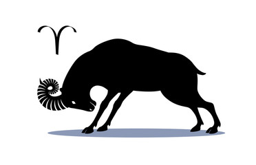 Mountain ram (ram) lowered his head, stuck out his horn and prepared for battle.
Aries - fire zodiac sign, militant and aggressive, drawn in pen, standing in profile in a tense and dynamic posture.