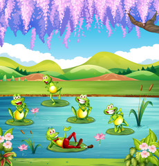 Obraz premium Frogs living in the pond
