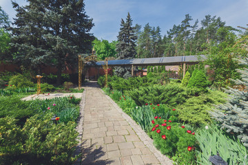 Landscape design, evergreen bushes and path