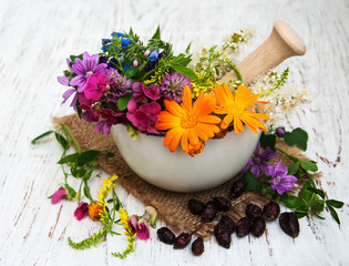wild flower and herb leaf in mortar