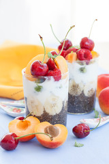 Chia Pudding mit Joghurt und Fruechten