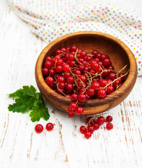 fresh red currant