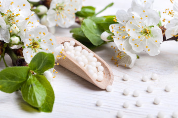 homeopathic pills with spring flowers on white wooden background