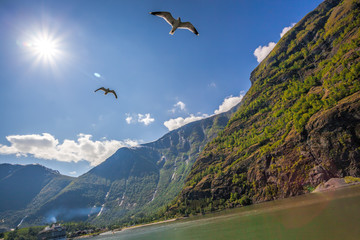 Obraz premium Beautiful fjords near the Flam in Norway