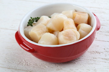 Raw scallops
