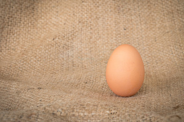 Fresh egg. Close up of egg on rustic background