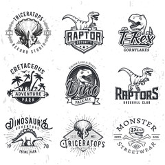 Set of Dino Logos. T-rex skull t-shirt illustration concept on grunge background. Raptors sport team insignia design. Vintage Jurassic Period badge.