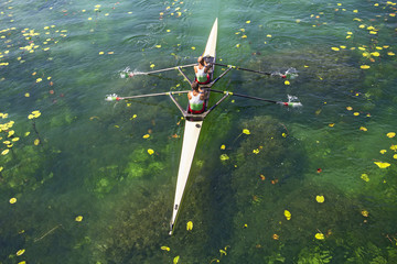 Two rowers  rowing © smuki