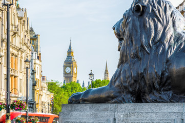 Lion sculpture at the base of Nelson’s Column in Trafalgar Square with Big Ben in the background