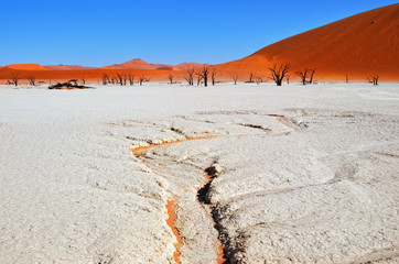 Deadvlei, Namib-Naukluft National Park, Namibia, Africa