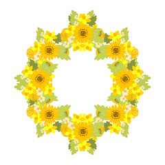 Floral sunflower, narcissus, chrysanthemum background illustration