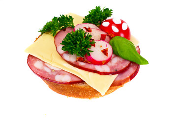 Sandwich with Mushrooms, Tomato, Cheese, Onion and Radish