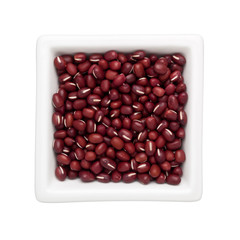 Adzuki bean