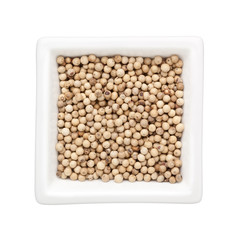 White peppercorn