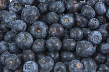Many blueberries