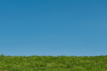 Obraz na płótnie Canvas Green grass blue sky natural background
