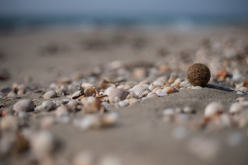 sand