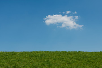 Fototapeta na wymiar Green grass blue sky natural background with ne cloud