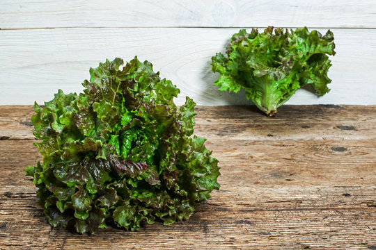 lettuces on a wooden table
