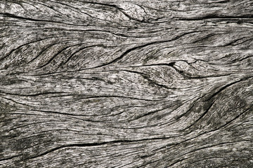 Black and white hard contrast wood structure