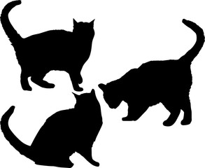 three black isolated cat silhouettes set