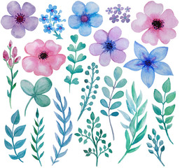 Collection of hand drawn watercolor flowers and herbs isolate on white background