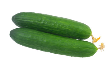 Cucumber long green on white