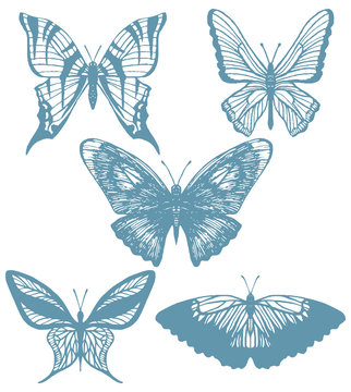 vector set of hand-drawn butterflies