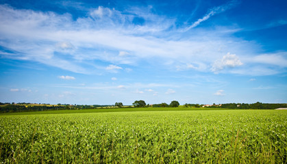 Paysage de campagne en France