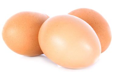 eggs on white background