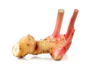 Fresh galangal isolated on white background.