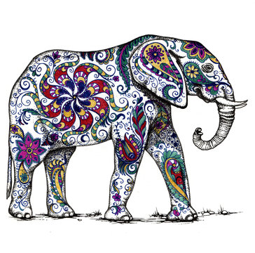 Indian elephant decorate floral pattern
