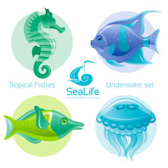 Icon set with tropical fishes - angel fish, green wrasse, sea horse and jellyfish