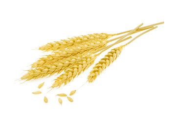 Wheat isolated on white
