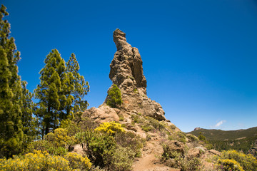 Fototapeta na wymiar Rock at Parque Rural del Nublo on Gran Canaria, Spain.