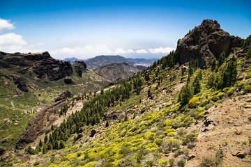 Panoramic view from  Pico de las Nieves on Gran Canaria , Spain.