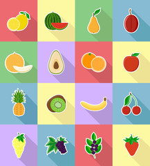 fruits flat set icons with the shadow vector illustration