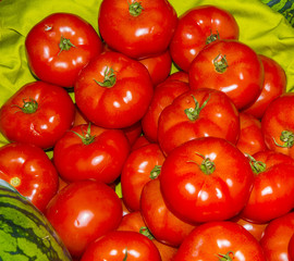 tomate