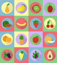 fruits flat set icons with the shadow vector illustration