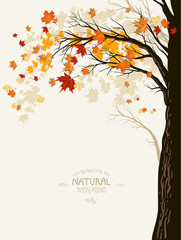 Fototapeta premium Autumn background